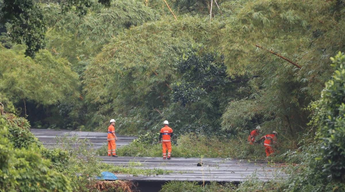 Rio, 18/05/2019, Tunel Acustico, na foto Vista do teto do tunel feita do Minhocao. Foto de Gilvan de Souza / Agencia O Dia
