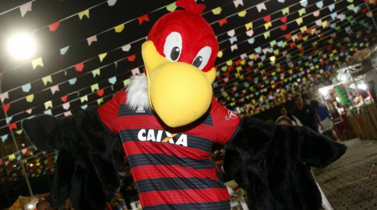 Uruba virou mascote que anima a torcida no Maracanã