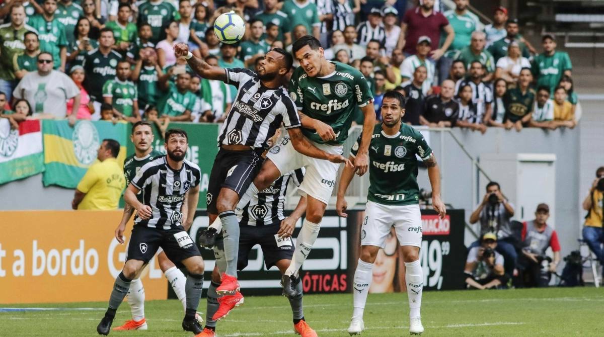 Botafogo foi derrotado pelo Palmeiras - Osvaldo Lima/Parceiro/Ag&ecirc;ncia O Dia