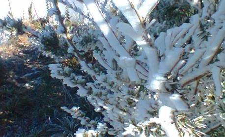 Com nova frente fria, Estado do Rio tem possibilidade de nevar nesta semana