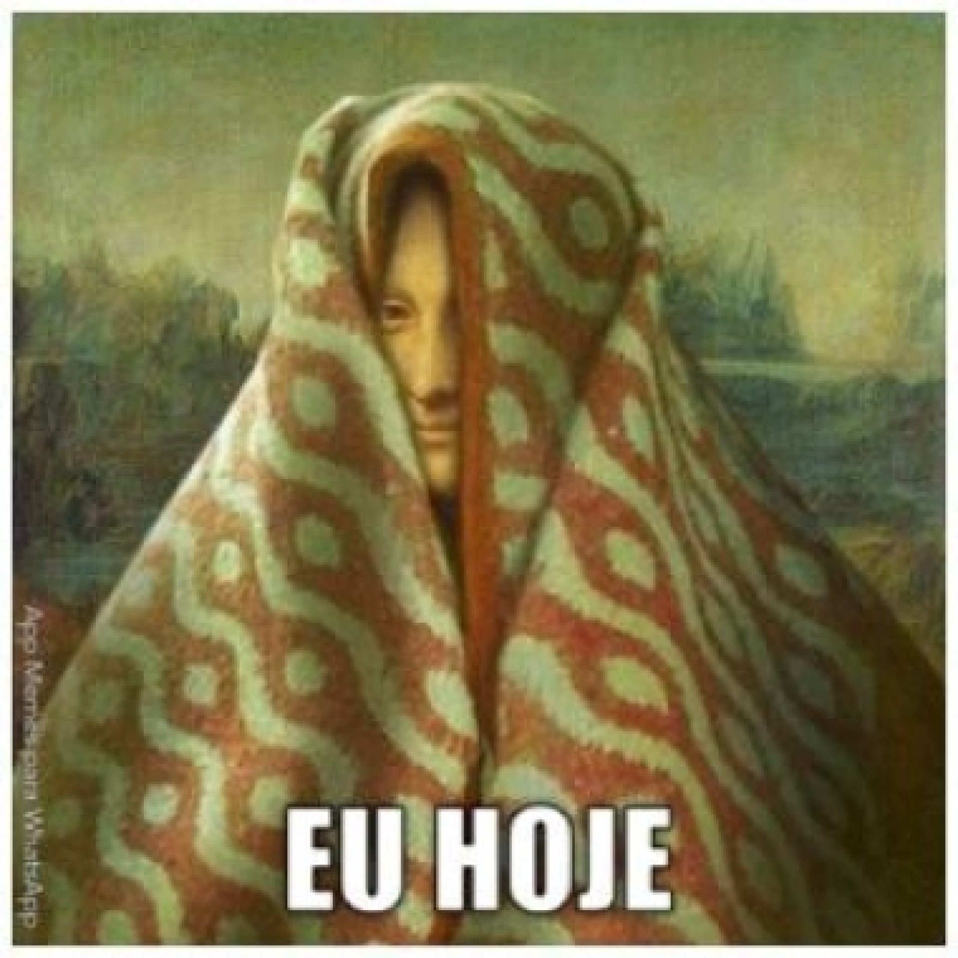 Memes de frio 