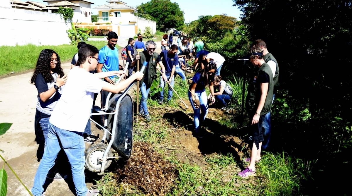 Plantio de mudas em Niterói