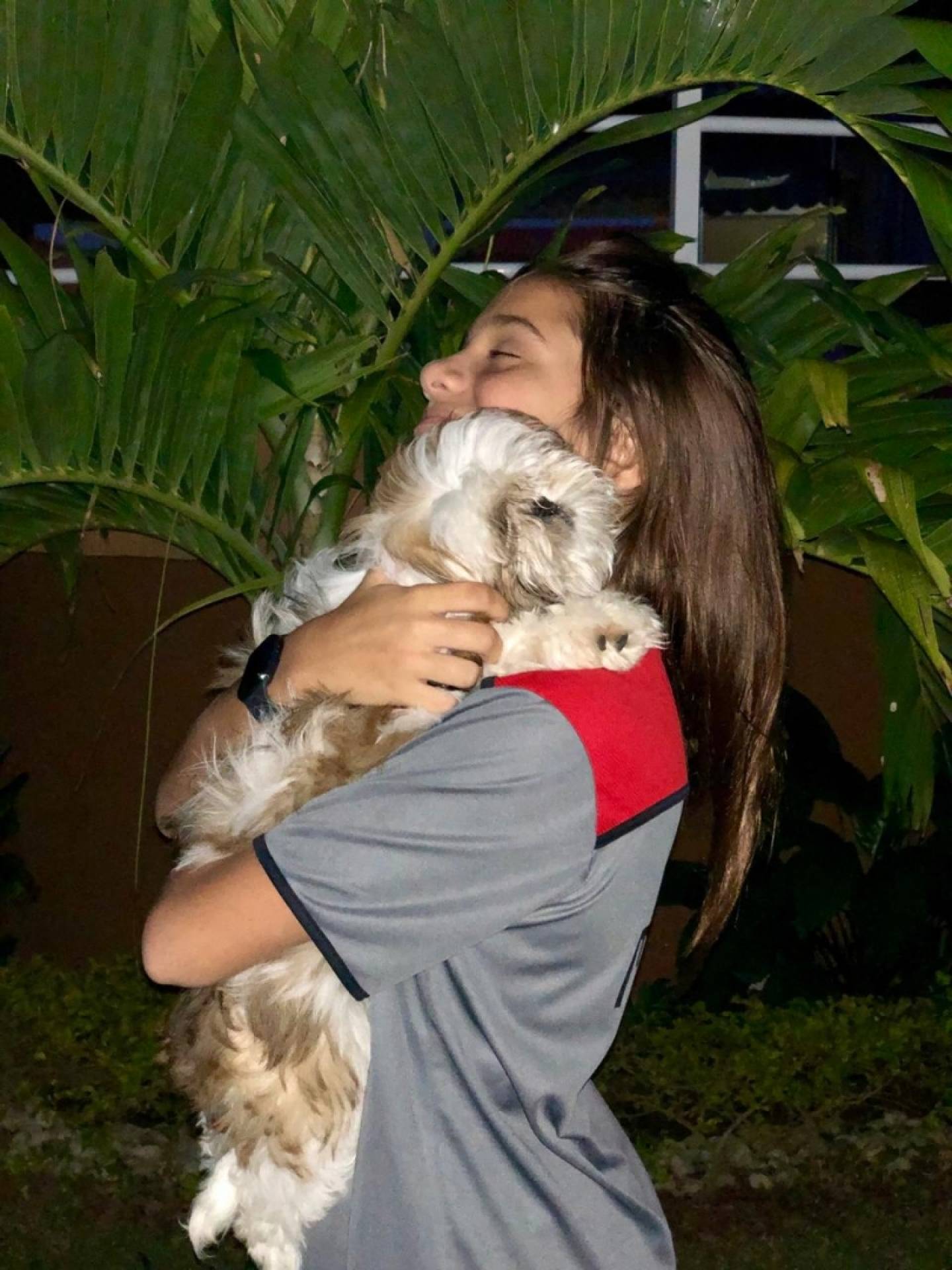 Myrella Victória ganhou um Shih-Tzu - divulgação 