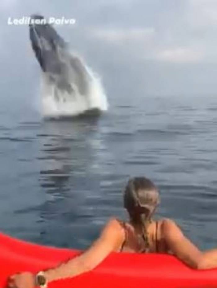 Remadoras assistem à espetáculo de baleias no mar da Barra da Tijuca