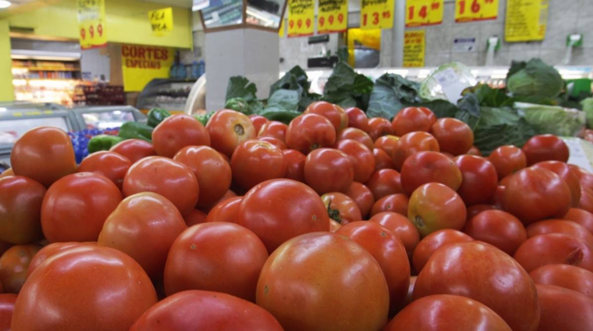 O estudante Leonardo Pantoja optou por reduzir a quantidade de tomate em suas compras devido ao preço alto -  Estefan Radovicz / Agência O Dia                      