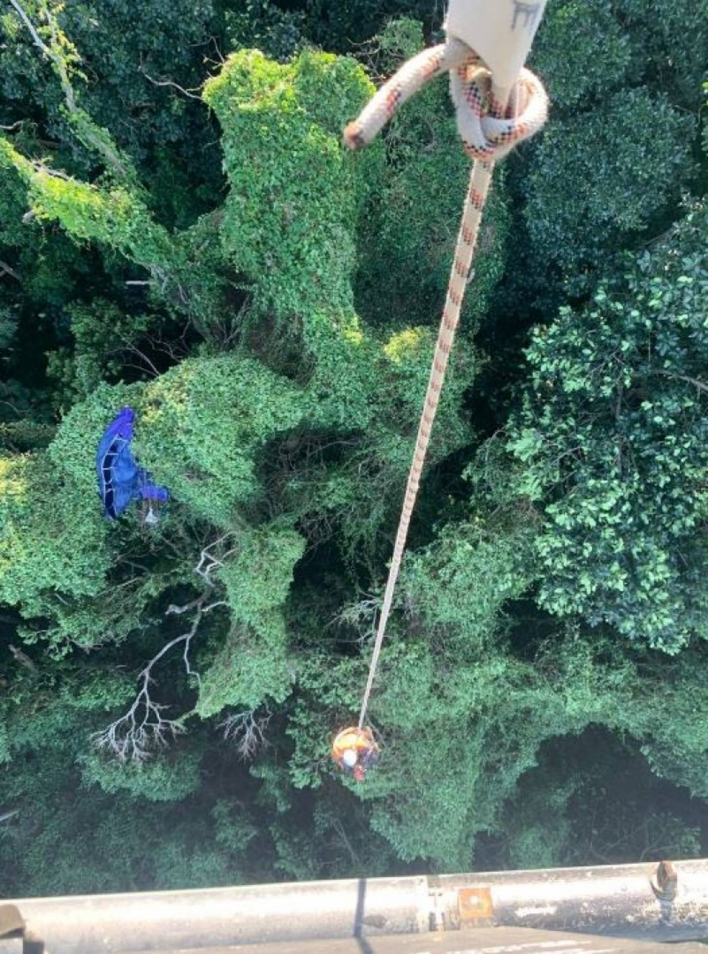 Praticante de wingsuit foi resgatado de vegetação por helicóptero da Core em São Conrado