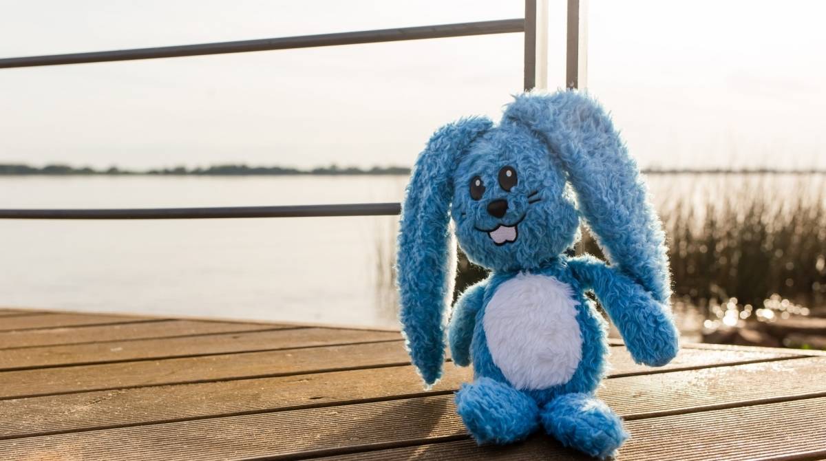O coelho SansÃ£o, personagem da \'Turma da MÃŽnica\', faz um tour pelo Brasil em busca de Floquinho, cachorro do Cebolinha