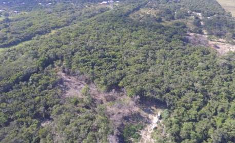 Mata Atlântica: Devastação de áreas florestais sobe em oito Estados