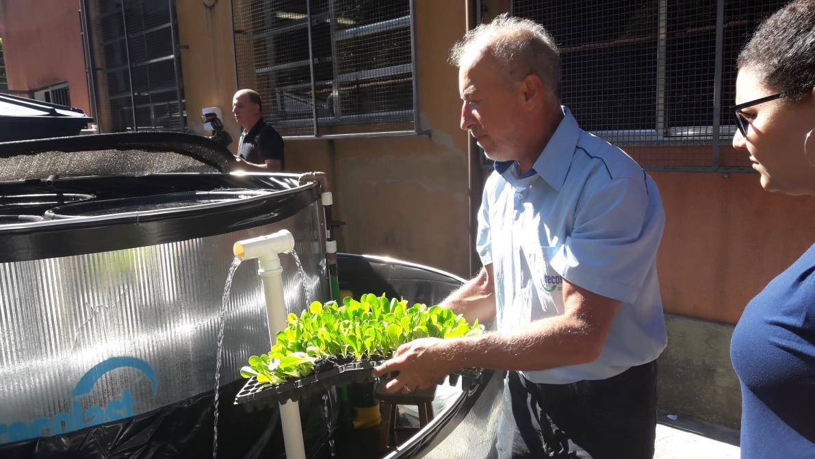 Aquaponia em Petrópolis