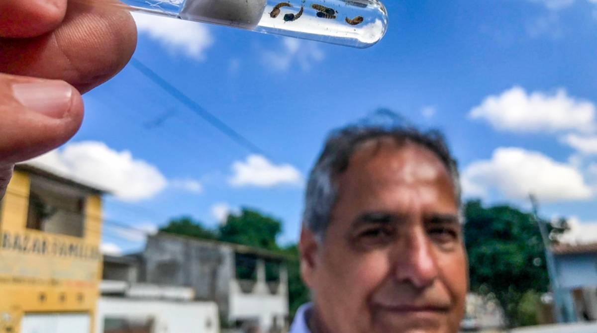 Agente do Centro de Controle de Zoonoses de Campos exibe larvas do aedes aegypti. Foram encontrados 28 focos de criação do mosquito no subdistrito de Guarus - Héllen Souza/Divulgação prefeitura de Campos