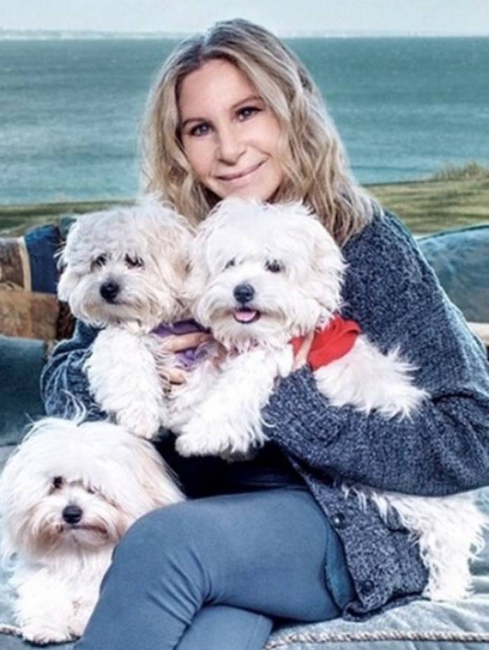 Barbra Streisand freta jatinho para ver suas cachorras