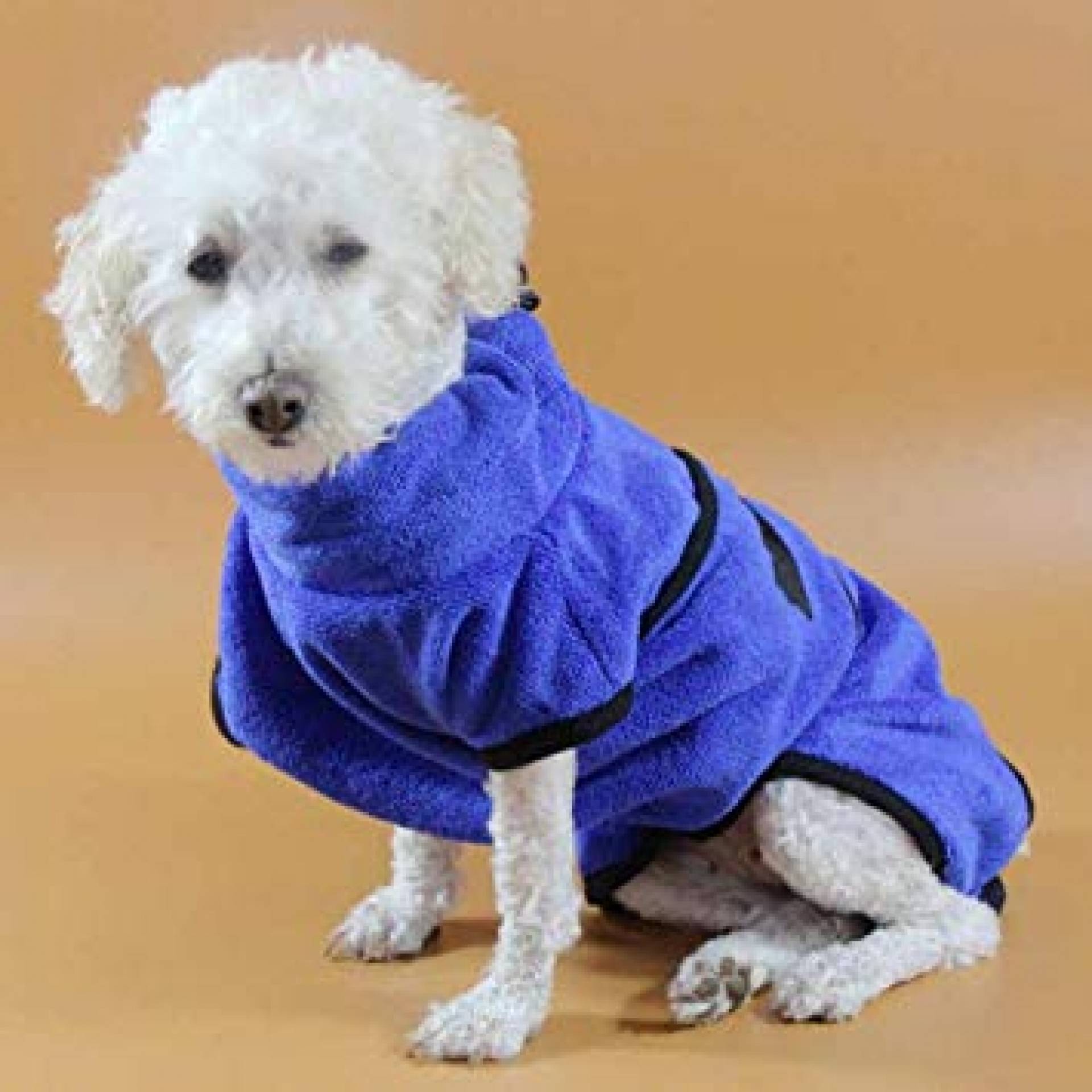 No frio, para manter o pet limpinho o ideal é dar banho a seco  