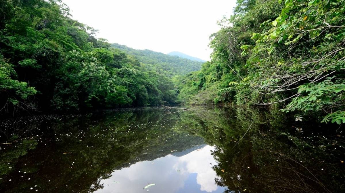 Parque Municipal de Nova Iguaçu