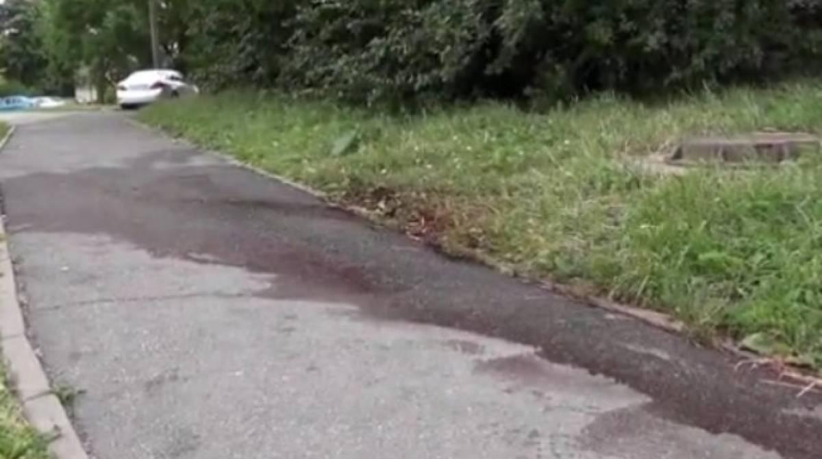 Mulher morreu e homem teve ferimentos leves - Reprodução da internet