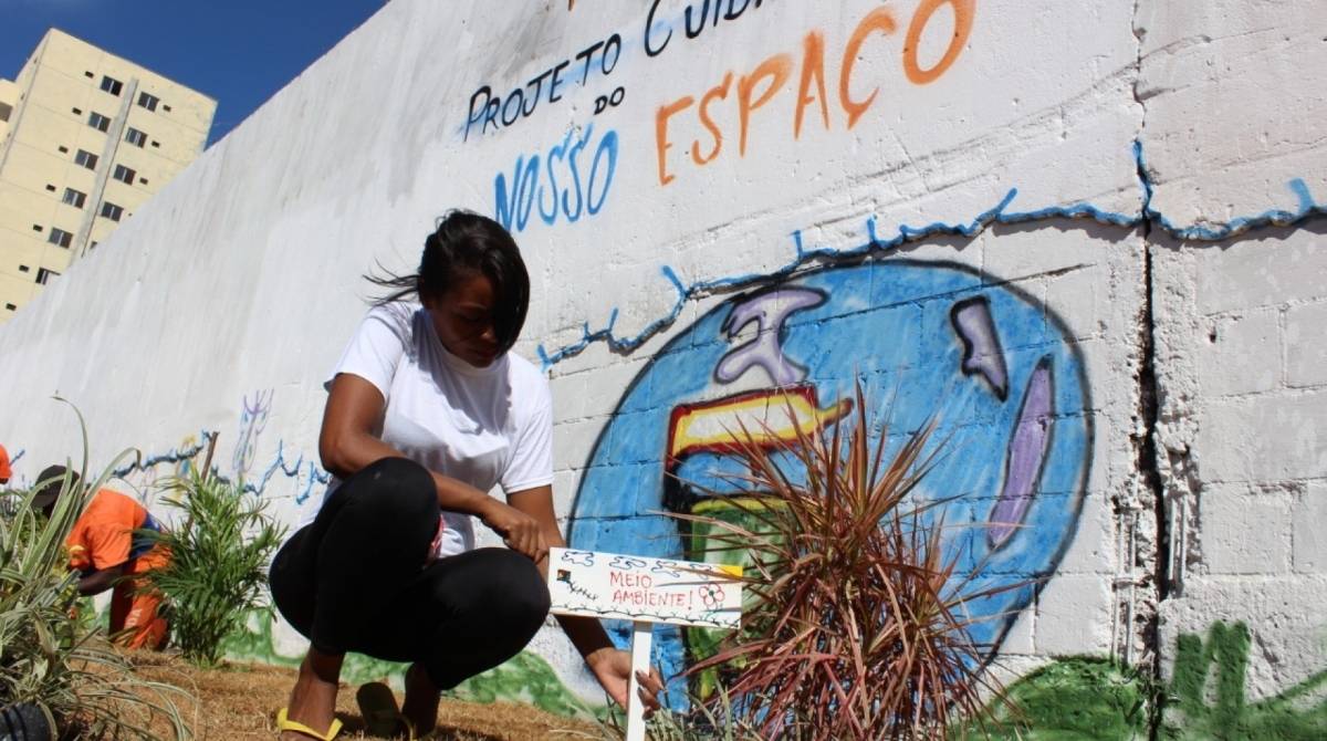 Lixeira transformadas em jardins em Nova Iguaçu