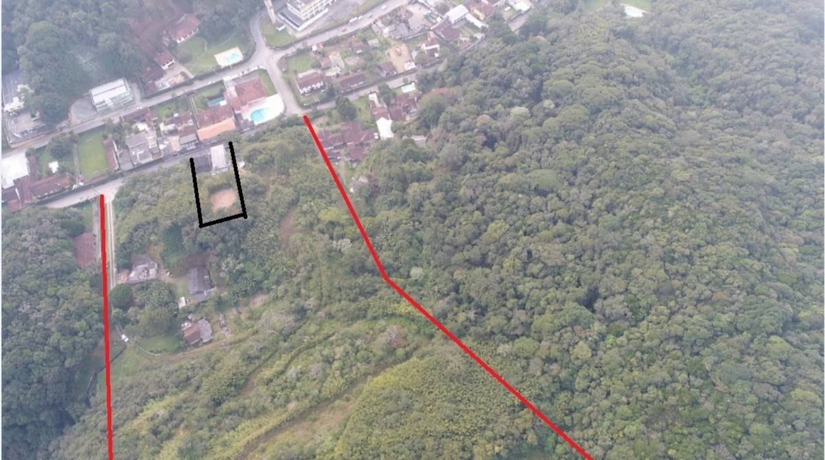 Floresta Municipal no Quitandinha