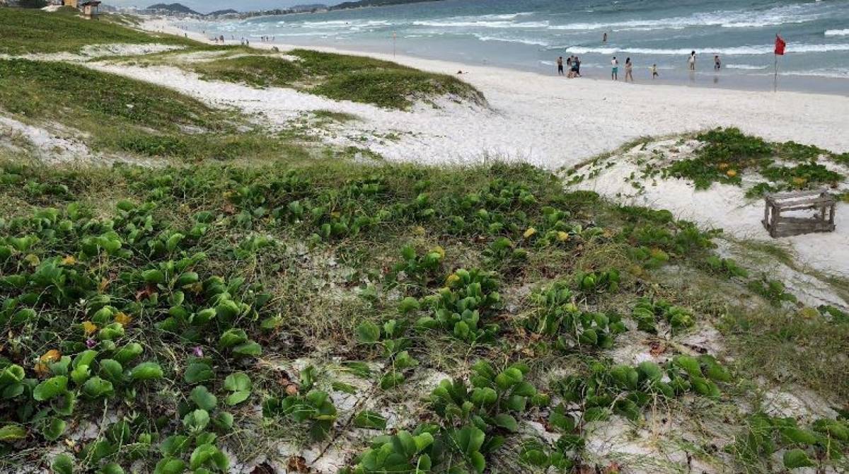 PolÃ­cias civil, militar e bombeiros buscam corpos de vÃ­timas de traficantes nas dunas prÃ³ximas Ã  Favela do Lixo, em Cabo Frio - ReproduÃ§Ã£o/ Google Street View