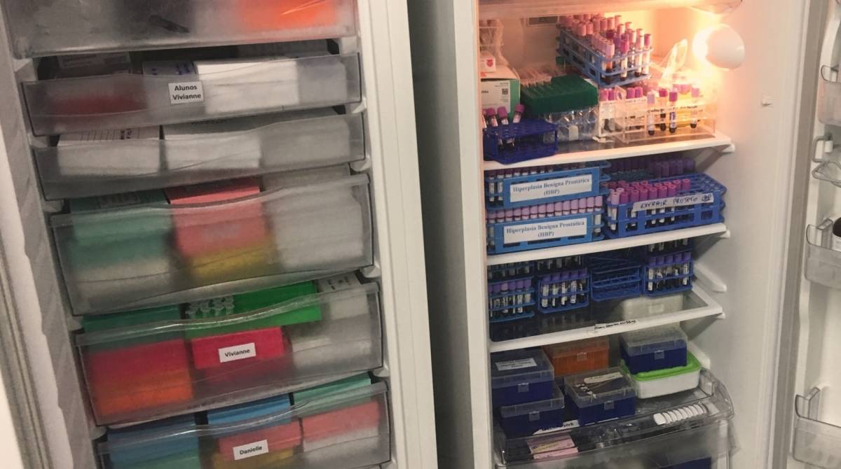 No LabGen diagnóstico é totalmente gratuito e essencial para tratamento adequado - Divulgação