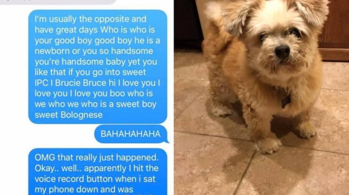 Mensagem e Brucey, o cachorro idoso
 - Facebook/ Ashlee Bradford