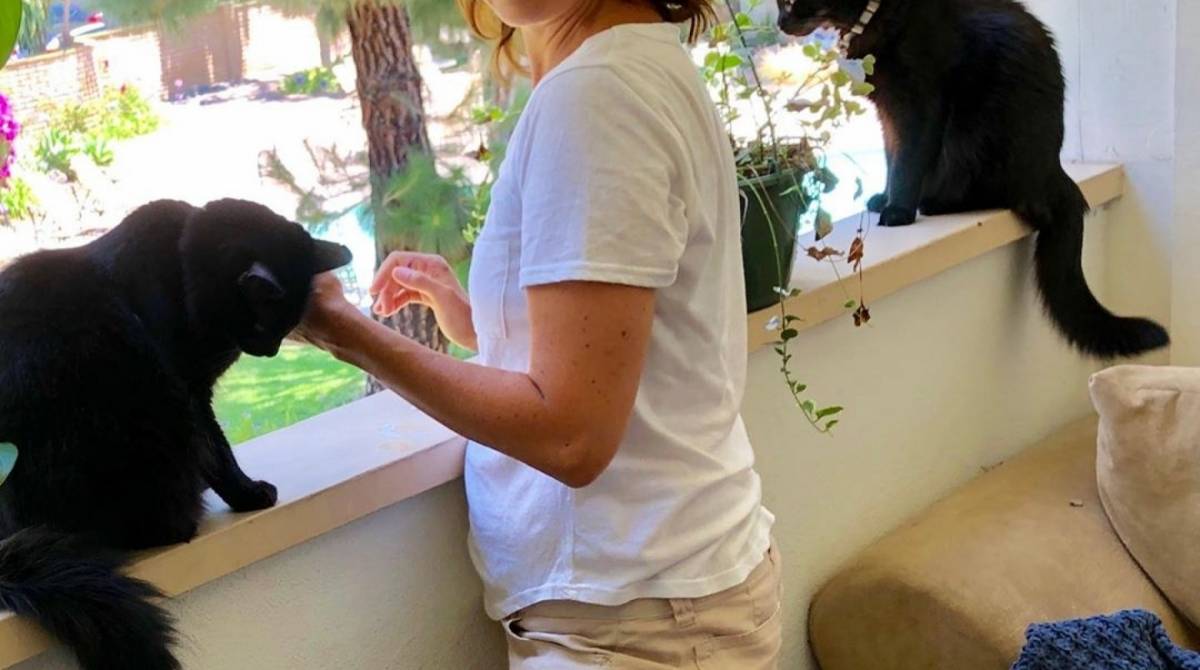 Daniela Escobar quase perde a mão após ser mordida por gato de estimação - Reprodução Internet