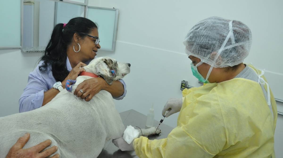 Os profissionais ser&atilde;o lotados no Centro de Controle de Zoonoses (CCZ), em Santa Cruz - Nelson Duarte/Divulga&ccedil;&atilde;o