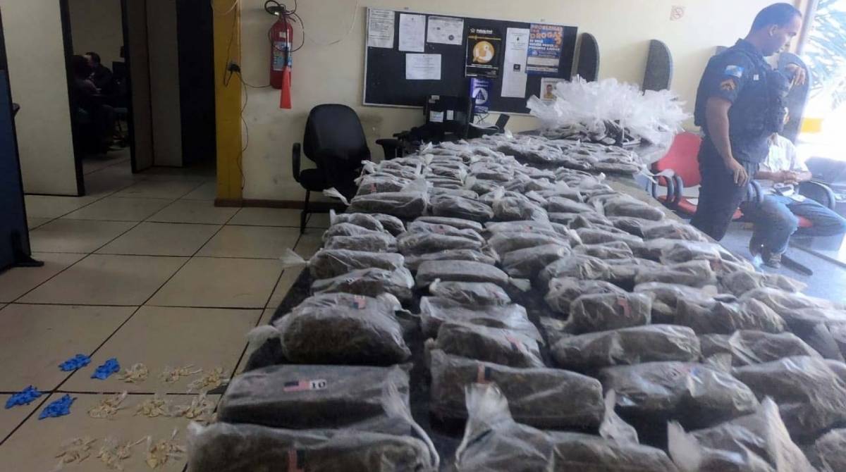 Drogas apreendidas na ação