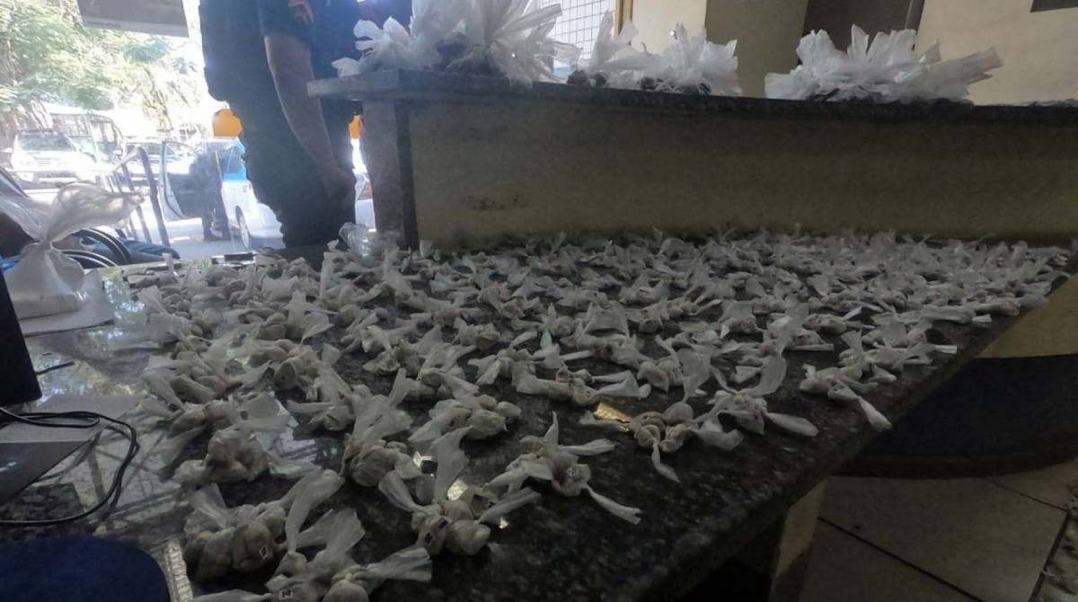 Drogas apreendidas na ação