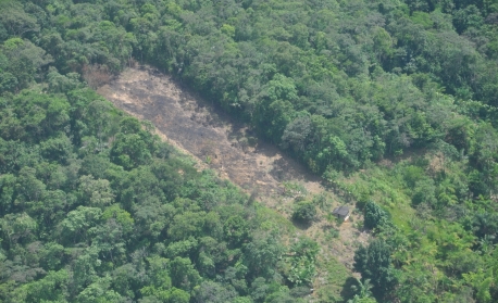  Desmatamento cai pela metade na Amazônia em 2023, mas sobe 43% no Cerrado