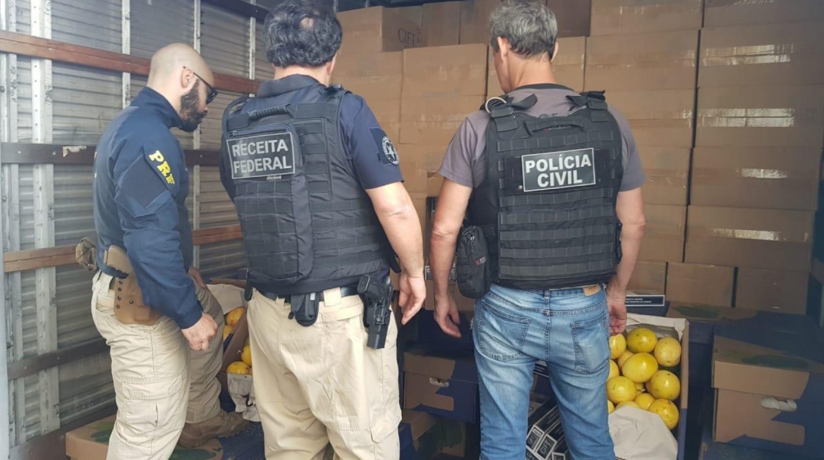 Mais de 270 mil maços foram encontrados em ação conjunta - Divulgação