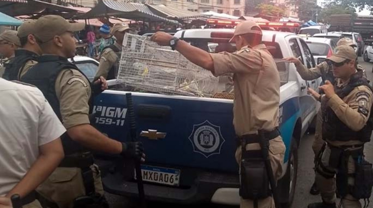 Feira fica na Avenida Marechal Marciano