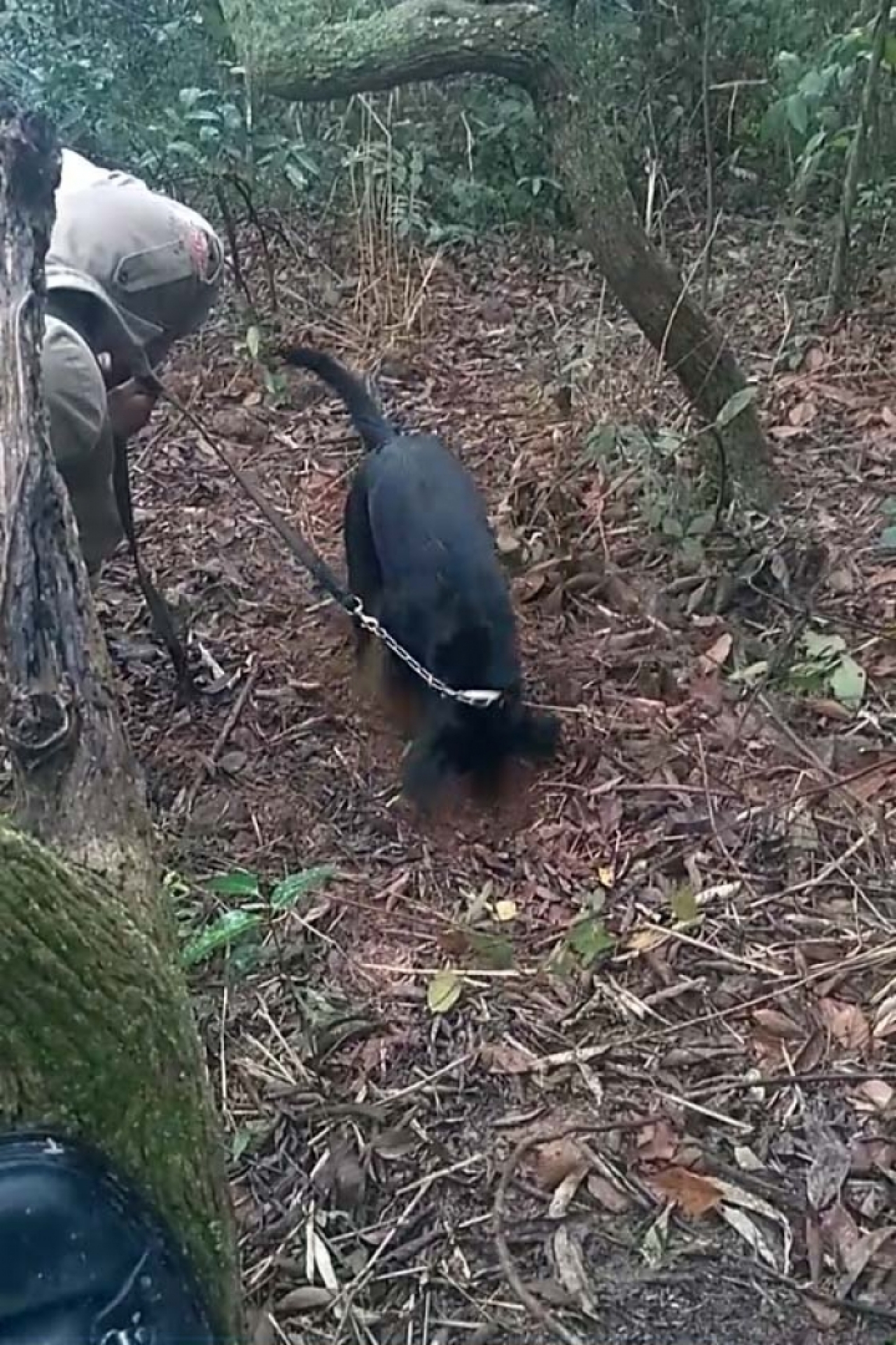 Cemitério clandestino fica no bairro Nova Aurora - Divulgação / Polícia Civil