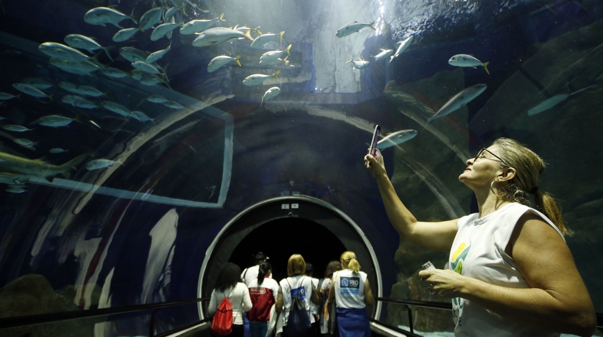 Idosos de projeto da Prefeitura visitam o AquaRio