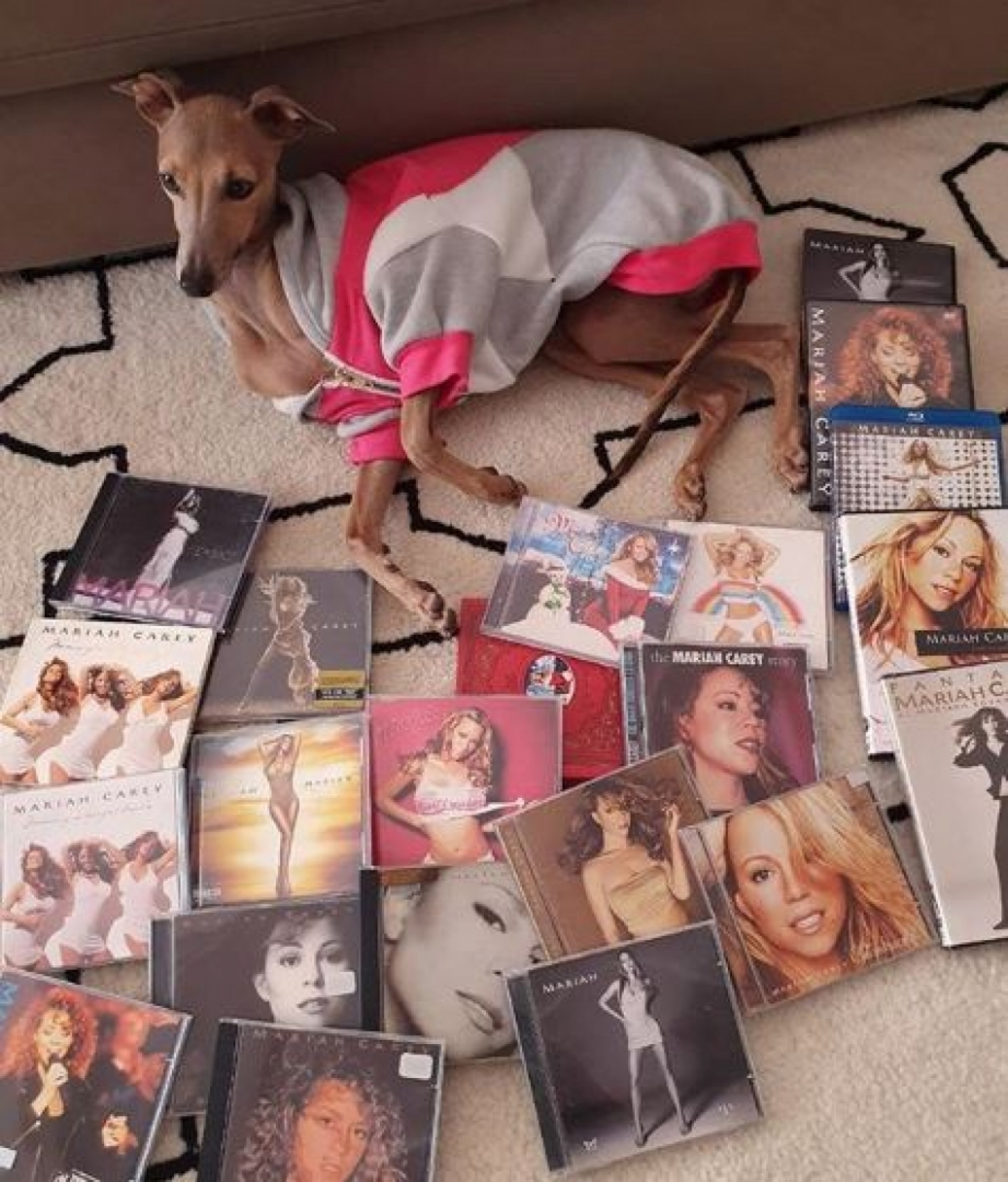 Anitta é seguida por Mariah Carey e faz declaração no Instagram