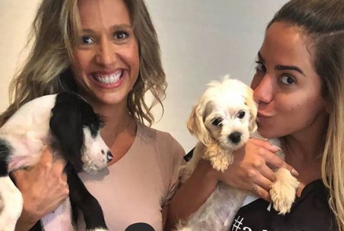 Anitta criticou protestos que Luisa Mell participou e ativista respondeu cantora - ReproduÃ§Ã£o/Instagram