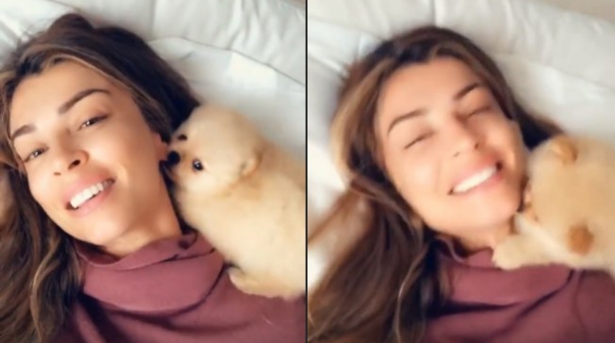 Grazi Massafera e sua cachorrinha - Reprodução Instagram