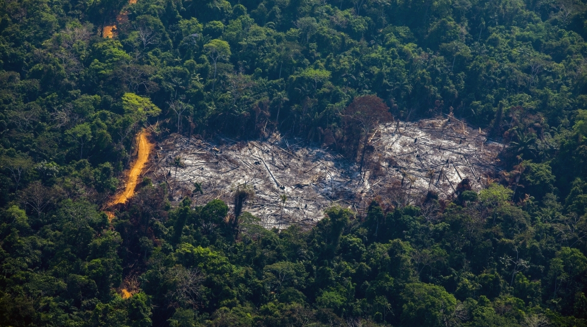 Aerial view of deforestation in the Menkragnoti Indigenous Territory in Altamira, Para state, Brazil, in the Amazon basin, on August 28, 2019. (Photo by Joao LAET / AFP) - AFP