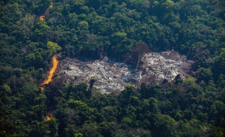 Desmatamento na Amazônia bate recorde e atinge a maior área dos últimos 15 anos
