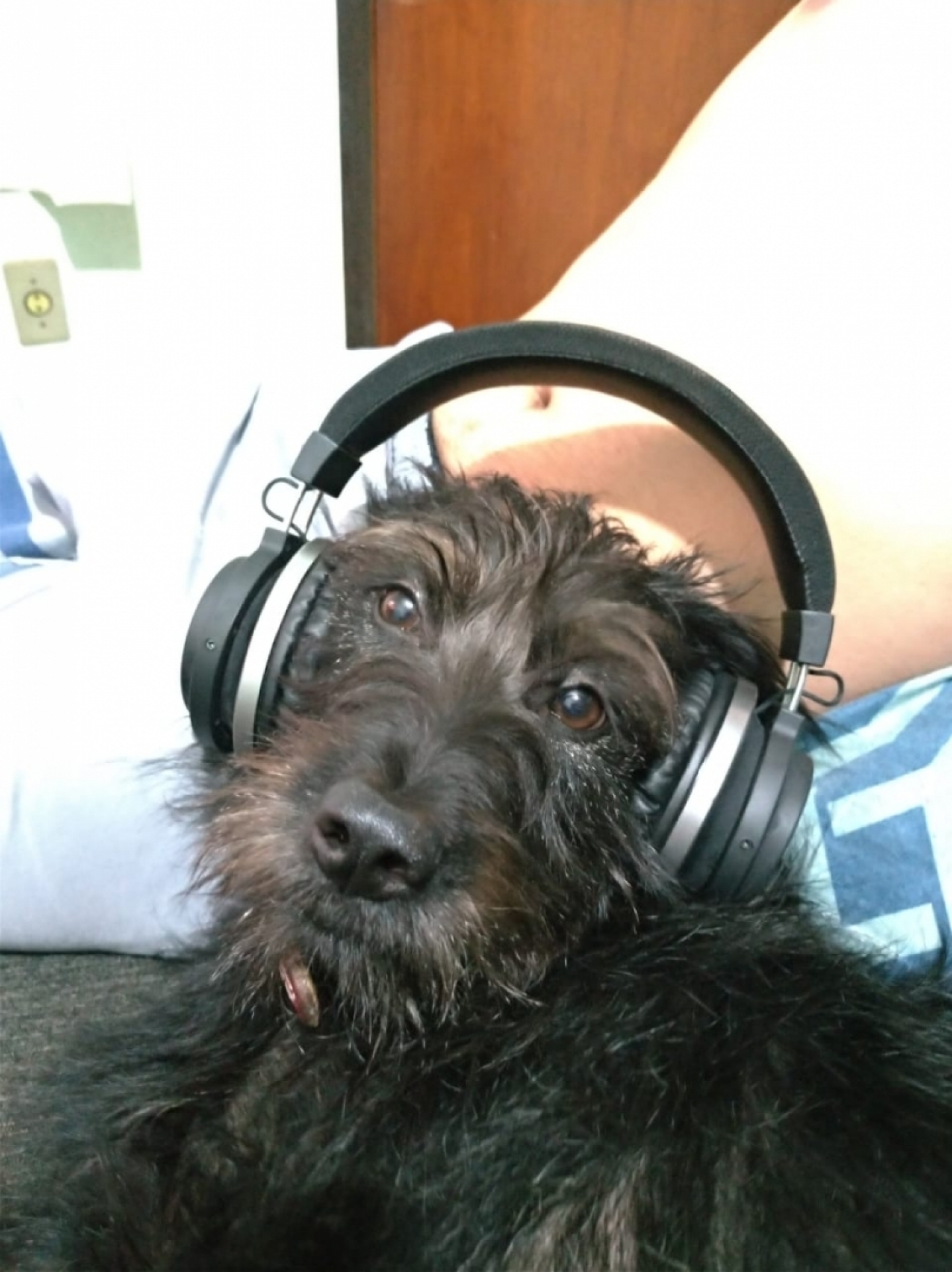 Lola &eacute; da estudante Nath&aacute;lia Leandro Gama