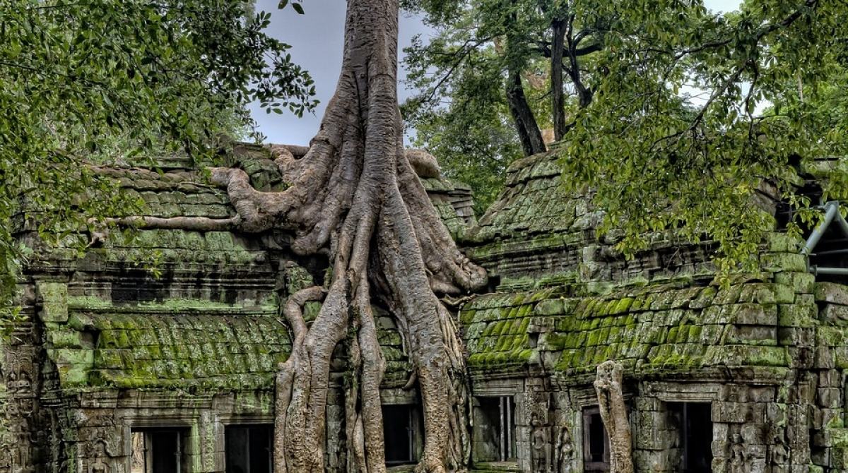 Angkor Buddhism Angkor Wat Temples Ancient Cambodia - https://www.maxpixel.net/