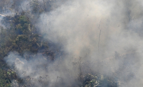 Na contramão do mundo, emissões do Brasil sobem 9,5% durante a pandemia