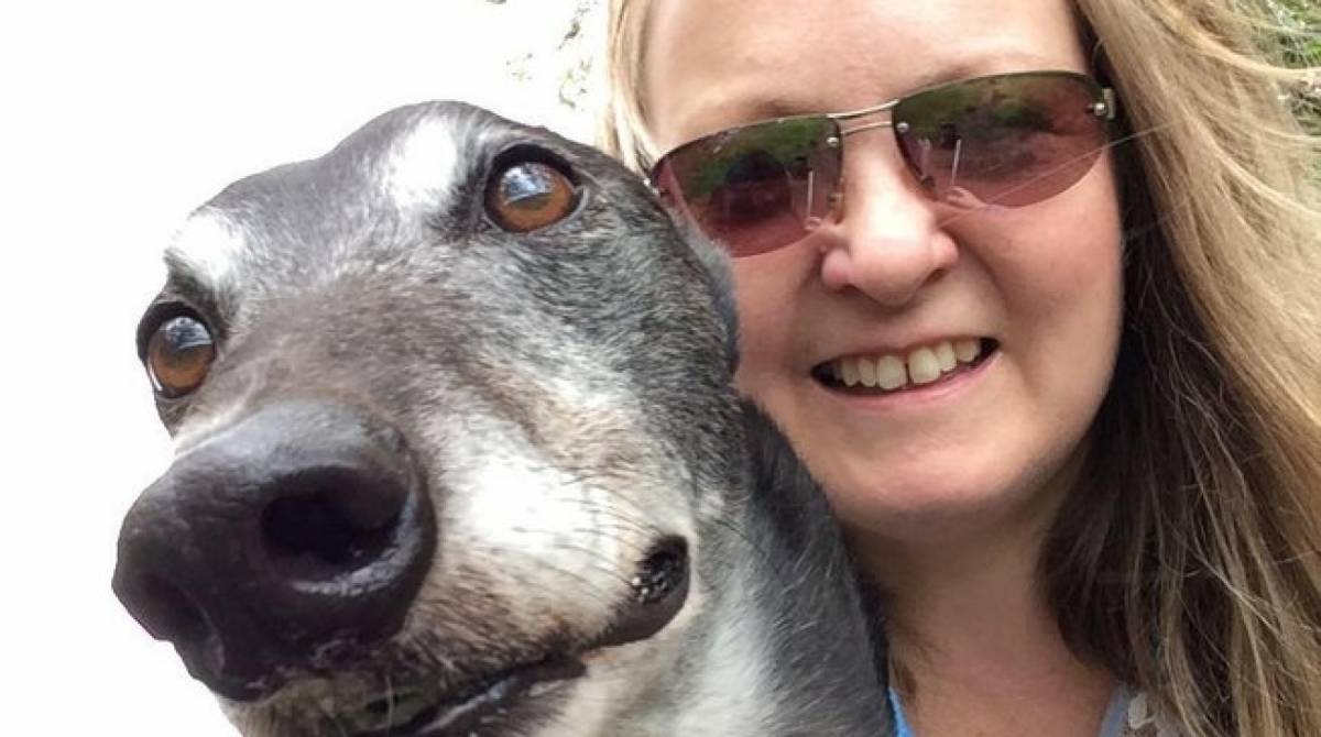 Cão salva vida da dona ao farejar tumor no seio dela - Reprodução / Facebook