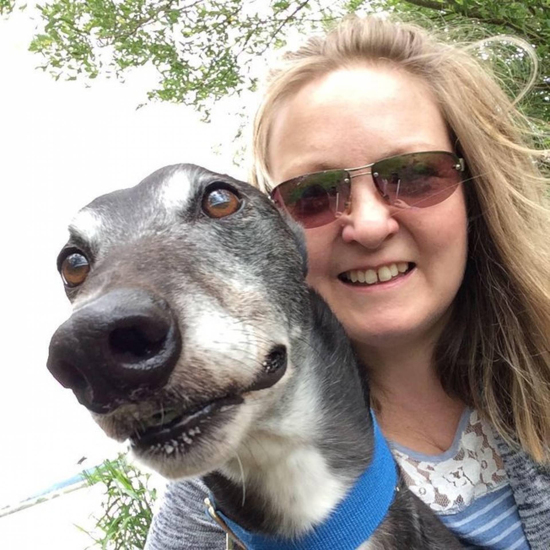 Cão salva vida da dona ao farejar tumor no seio dela