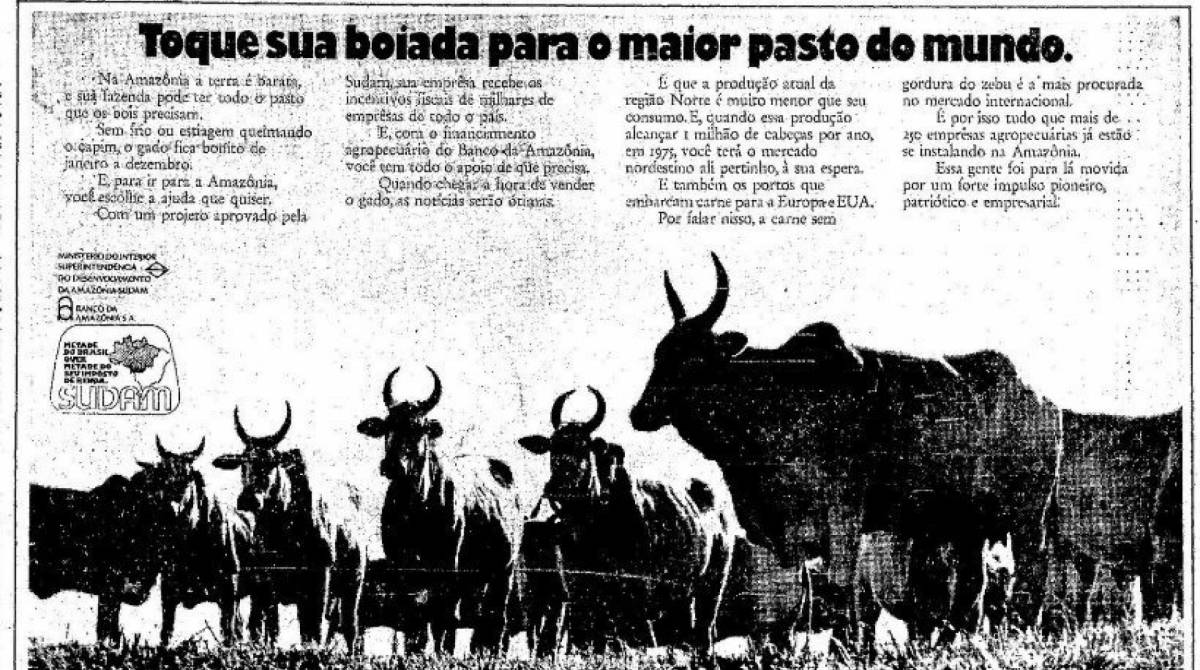 Propaganda pró-desmatamento