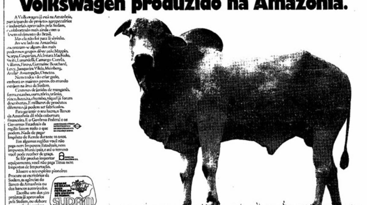 Propaganda pró-desmatamento - Divulgação