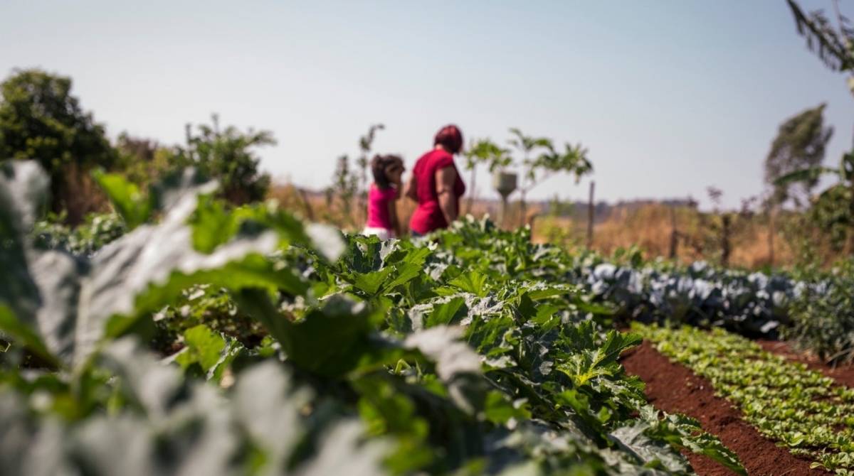 Atividades essenciais s&atilde;o aquelas indispens&aacute;veis ao atendimento das necessidades inadi&aacute;veis da comunidade - Divulga&ccedil;&atilde;o