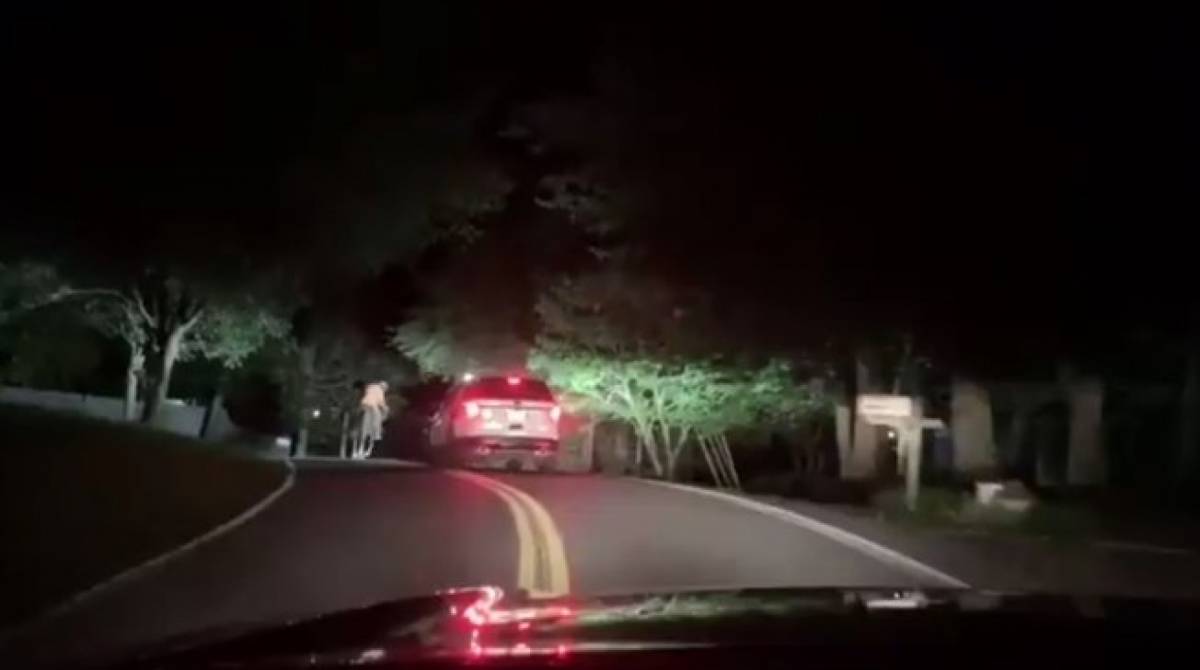 Homem foi flagrado andando bêbado a cavalo nos Estados Unidos
