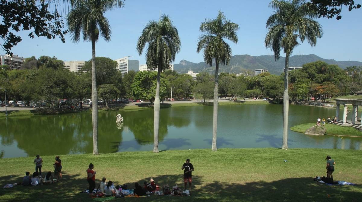 Lazer e escorrega de papelão na Quinta da Boa Vista. 
