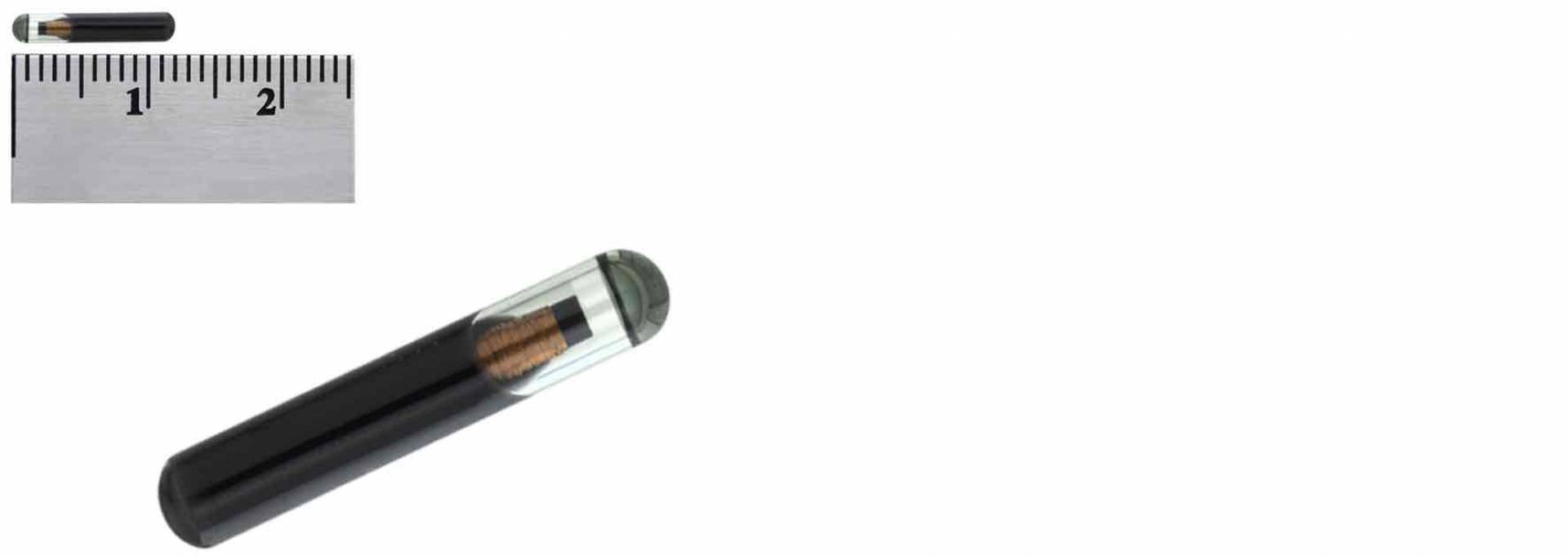 Microchip é bem pequeno, fácil e rápido de ser colocado 