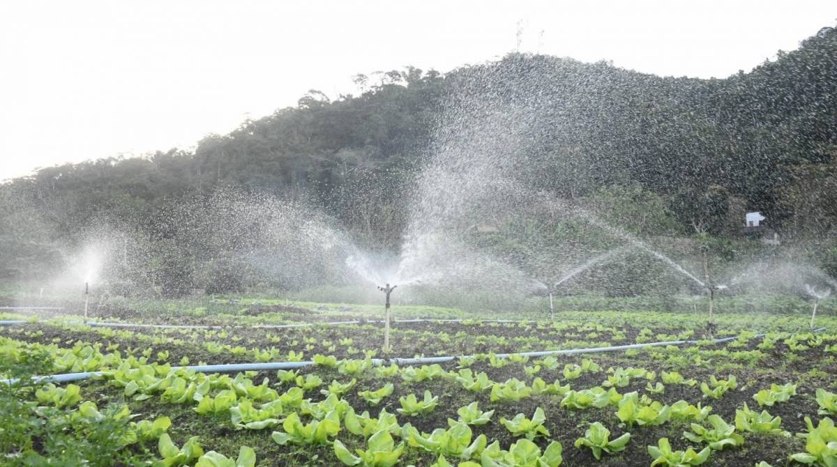 Prefeitura de Niterói vai criar programa de apoio a agroecologia