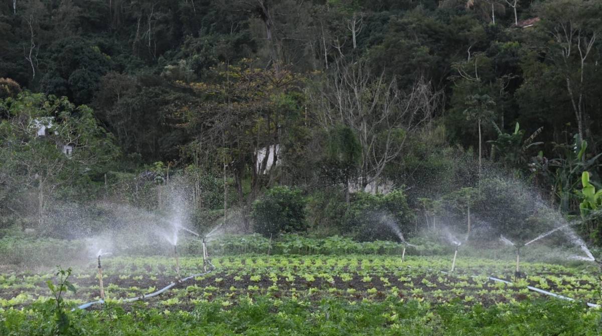 Prefeitura de NiterÃ³i vai criar programa de apoio a agroecologia